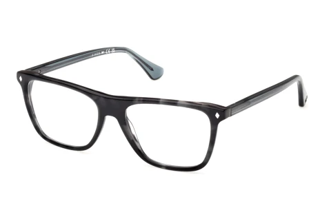 Glasses Web Eyewear WE5475 056