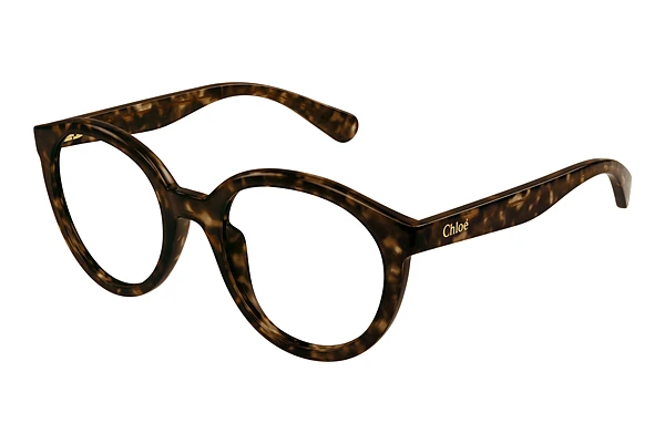 Glasses Chloé CC0022O 002