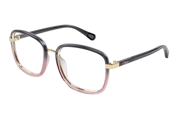 Glasses Chloé CC0025O 004