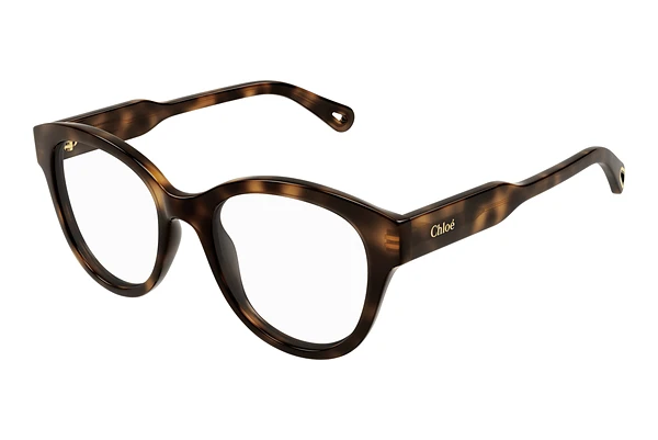 Glasses Chloé CH0163O 006
