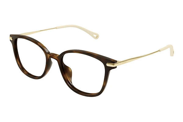 Glasses Chloé CH0219OA 002