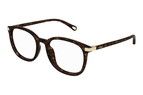 Glasses Chloé CH0247OA 002