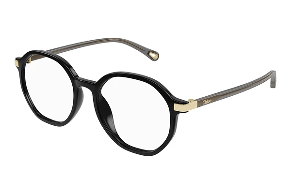 Glasses Chloé CH0249OA 001