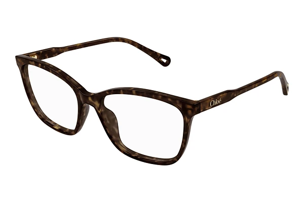 Glasses Chloé CH0318O 002