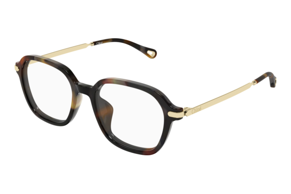 Glasses Chloé CH0361OA 002