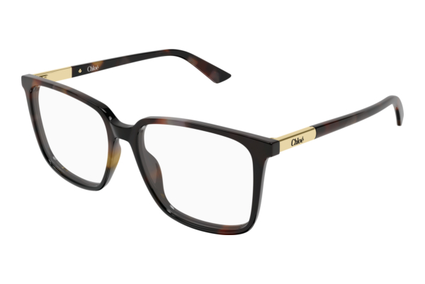 Glasses Chloé CH0369O 003
