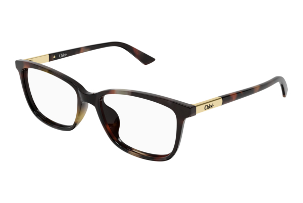 Glasses Chloé CH0371OA 002