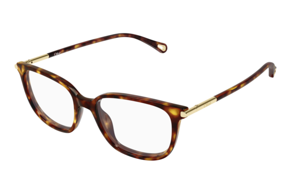 Glasses Chloé CH0400O 002