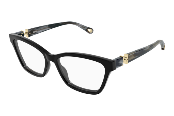 Glasses Chloé CH0412O 006