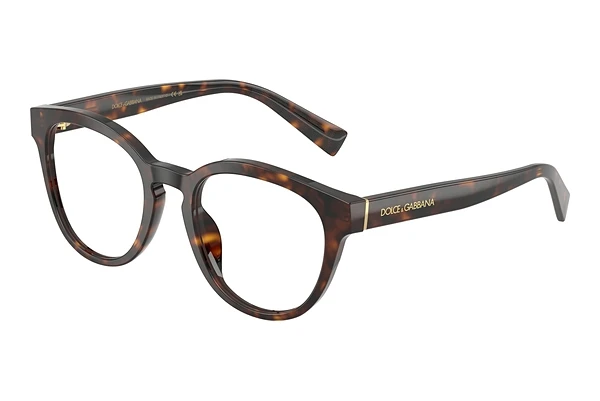 Glasses Dolce & Gabbana DG3421 502