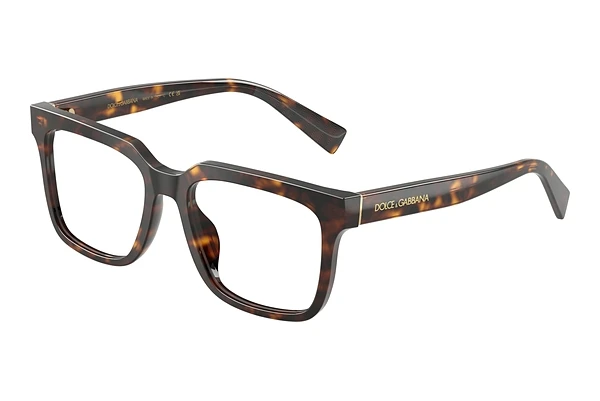 Glasses Dolce & Gabbana DG3422 502