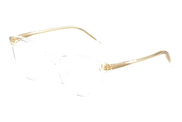 Glasses Dolce & Gabbana DX3002 3133