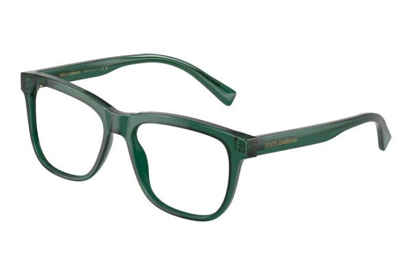 Glasses Dolce & Gabbana DX3356 3008