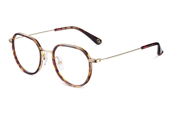 Glasses Etnia Barcelona SAX GDHV