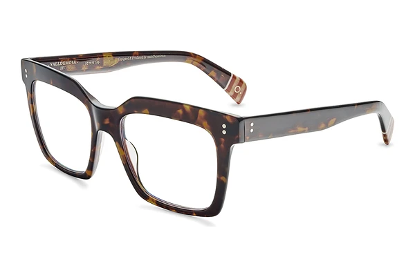 Glasses Etnia Barcelona VALLDEMOSA HV