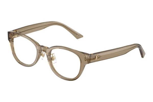 Glasses Jimmy Choo JC3058D 5051