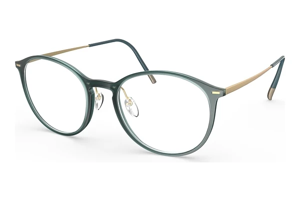 Glasses Silhouette Illusion Lite (2931 5041)