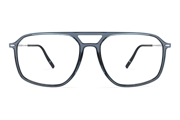 Glasses Silhouette Illusion Lite (2969 4610)