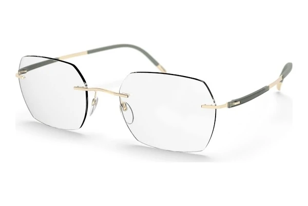 Glasses Silhouette Titan Dynamics Contour (5540-HB 7531)