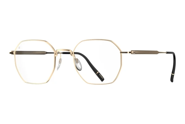 Glasses Silhouette Pure Visionary (5588 7530)