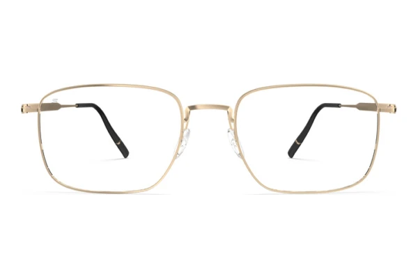 Glasses Silhouette Pure Visionary (5591 7632)