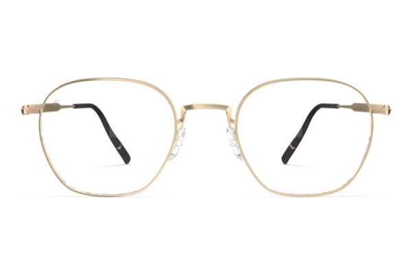 Glasses Silhouette Pure Visionary (5592 7631)