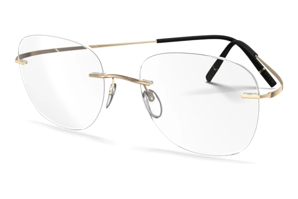 Glasses Silhouette Titan Minimal Art Stellar (5599-NI 7531)