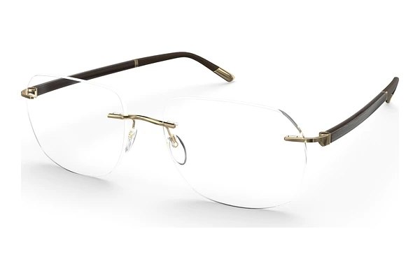 Glasses Silhouette Hinge C-2 (L014-LT 7520)