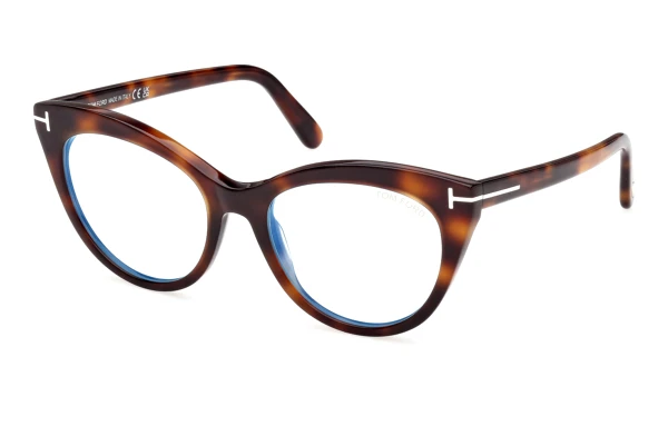 Glasses Tom Ford FT6091-B 053
