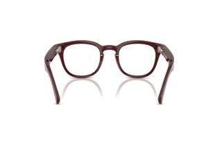 Rear view Nuance Audio PANTHOS 48 (AW5002 - 05)