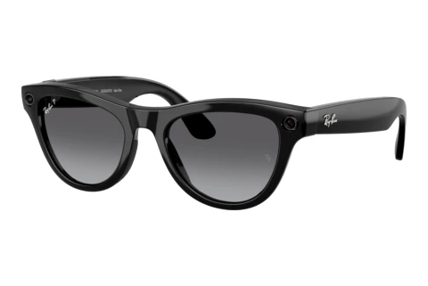  Ray-Ban Meta SKYLER (RW4014 601/T3)