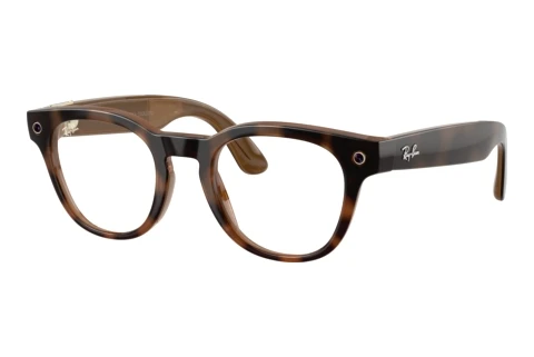  Ray-Ban Meta SCRIBER OPTICS (RW7002 8528)