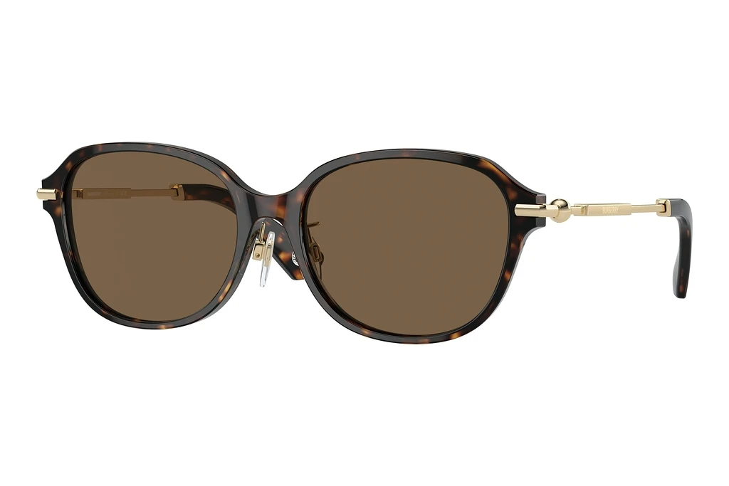 Burberry   BE4429D 300273 Dark BrownDark Havana
