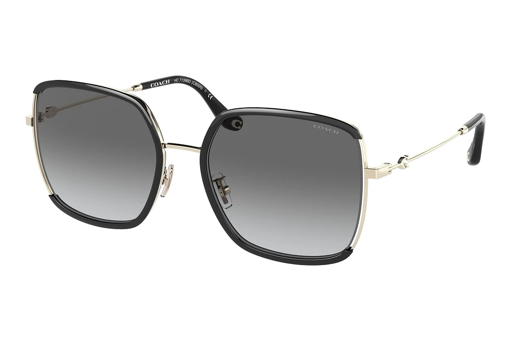 Coach   HC7139BD 934611 Grey GradientLight Gold/Black