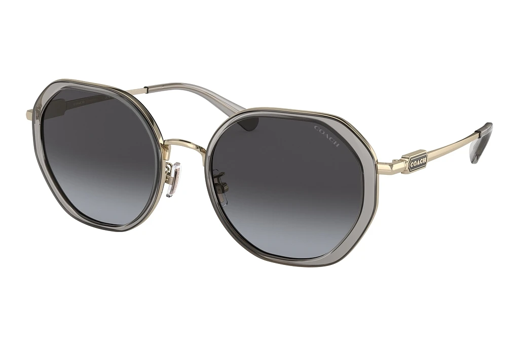 Coach   HC7141 90058G Grey GradientTransparent Grey