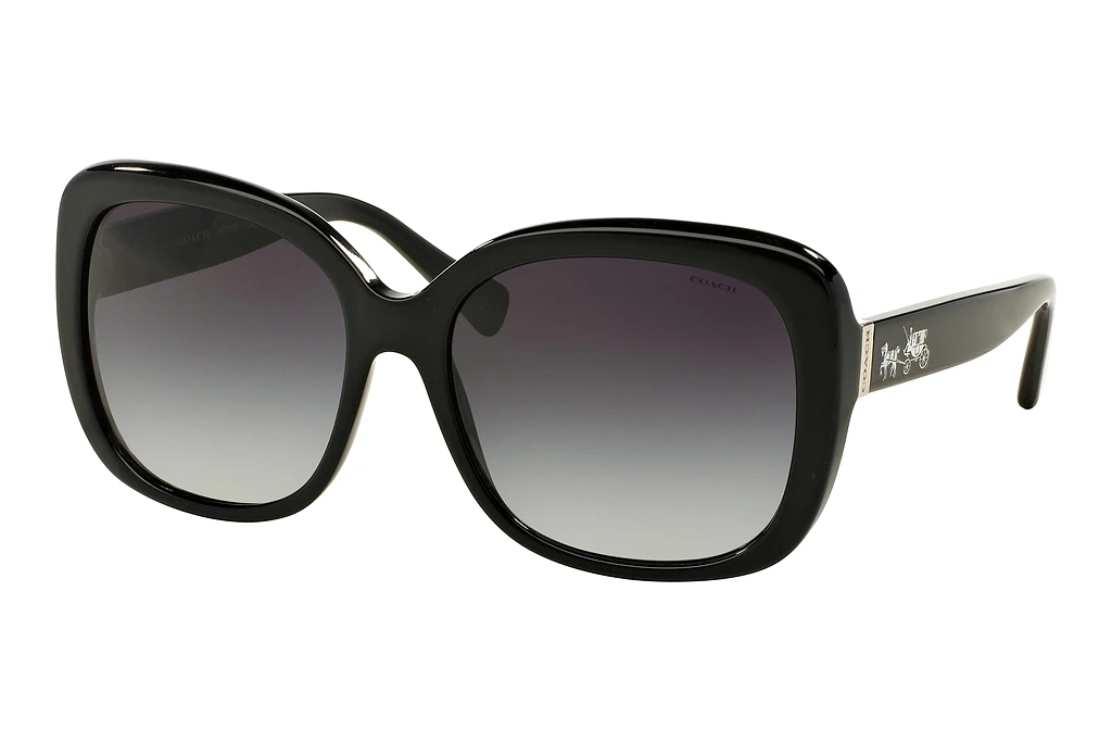 Coach   HC8158 500211 Grey GradientBlack