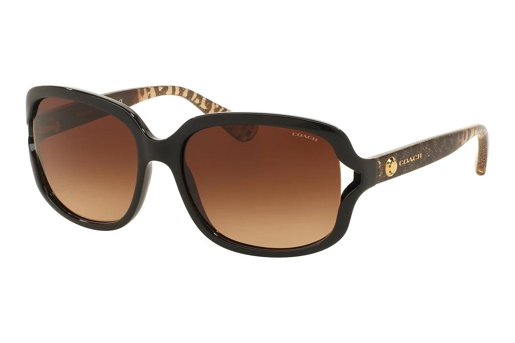 Coach   HC8169 535313 Brown GradientBlack