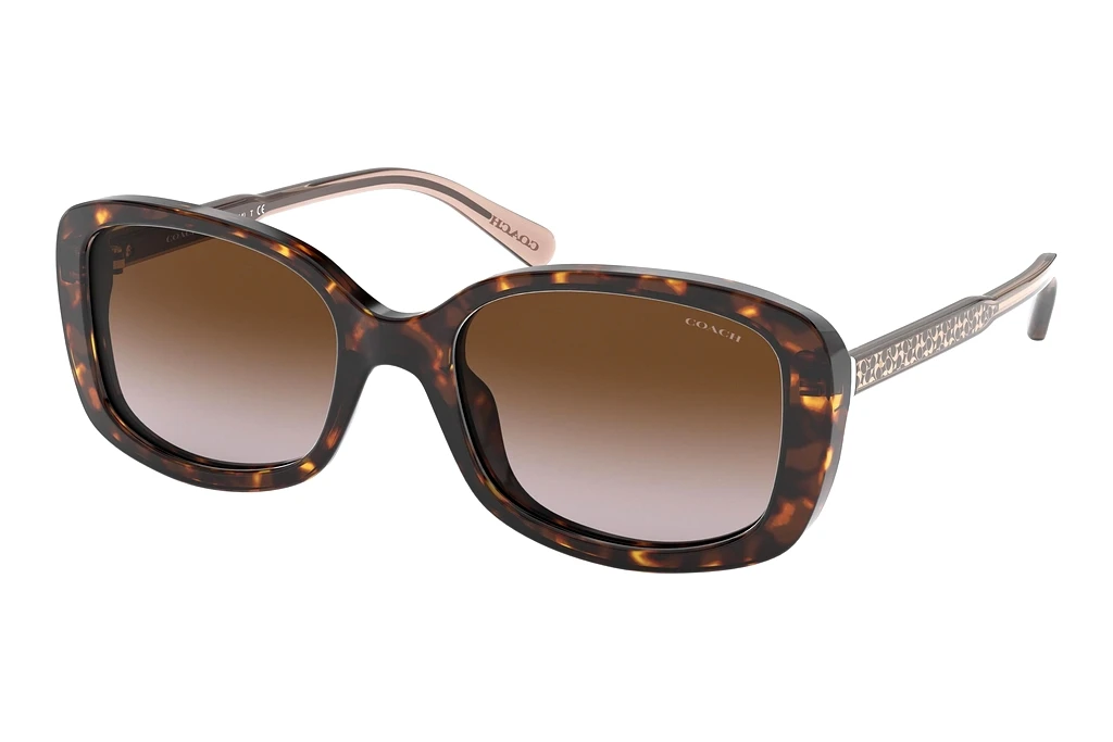 Coach   HC8278 512013 Brown GradientDark Tortoise