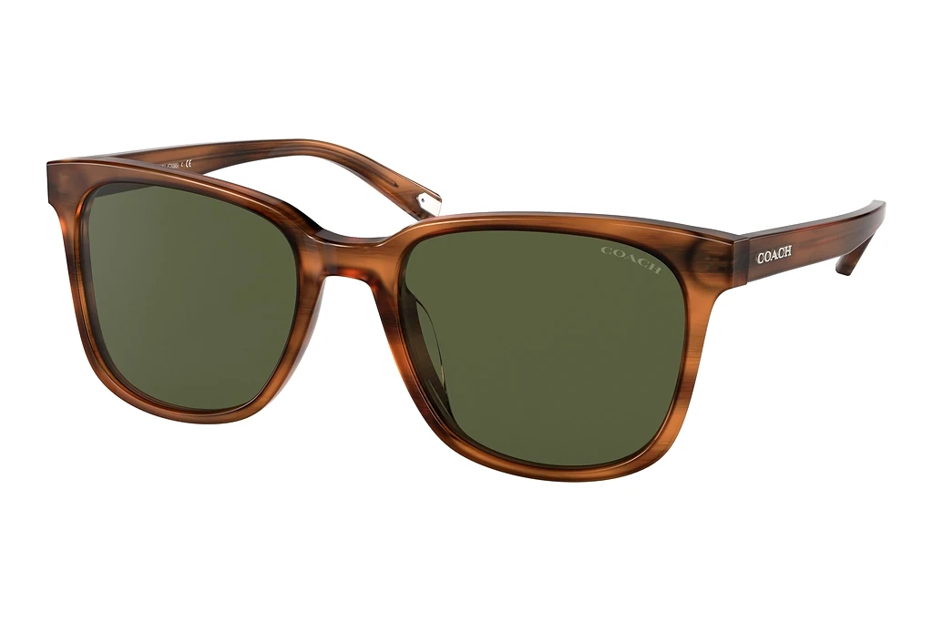 Coach   HC8313U 558171 Dark Green SolidAmber Horn