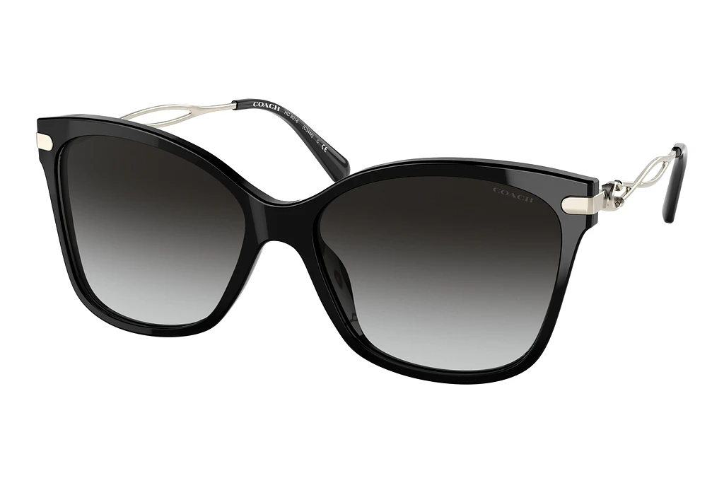Coach   HC8316 50028G Grey GradientBlack