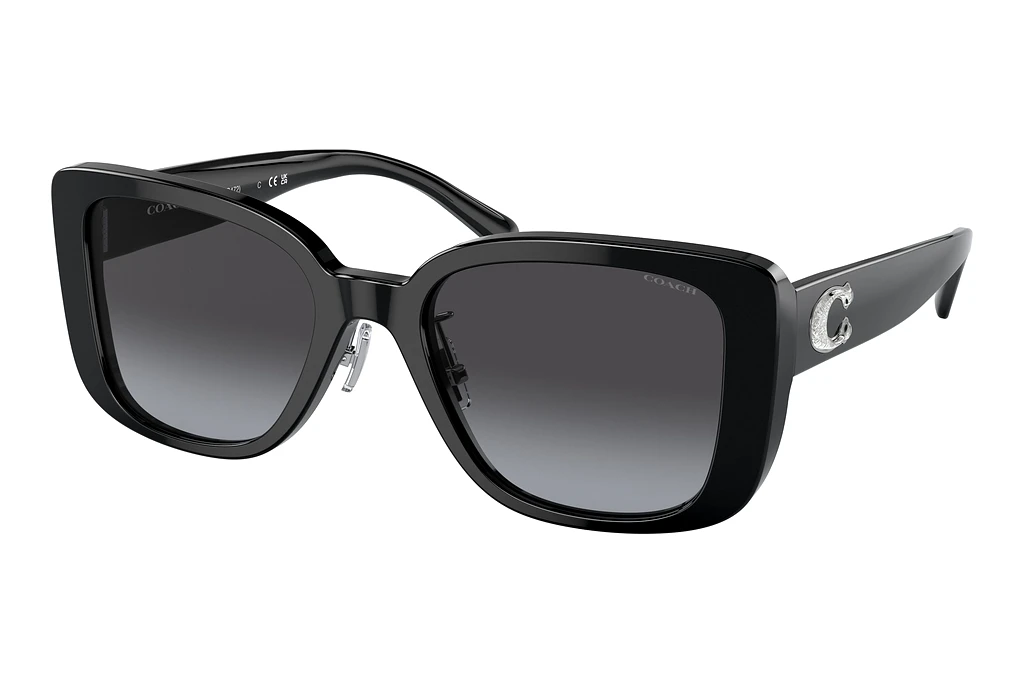 Coach   HC8352 50028G Grey GradientBlack