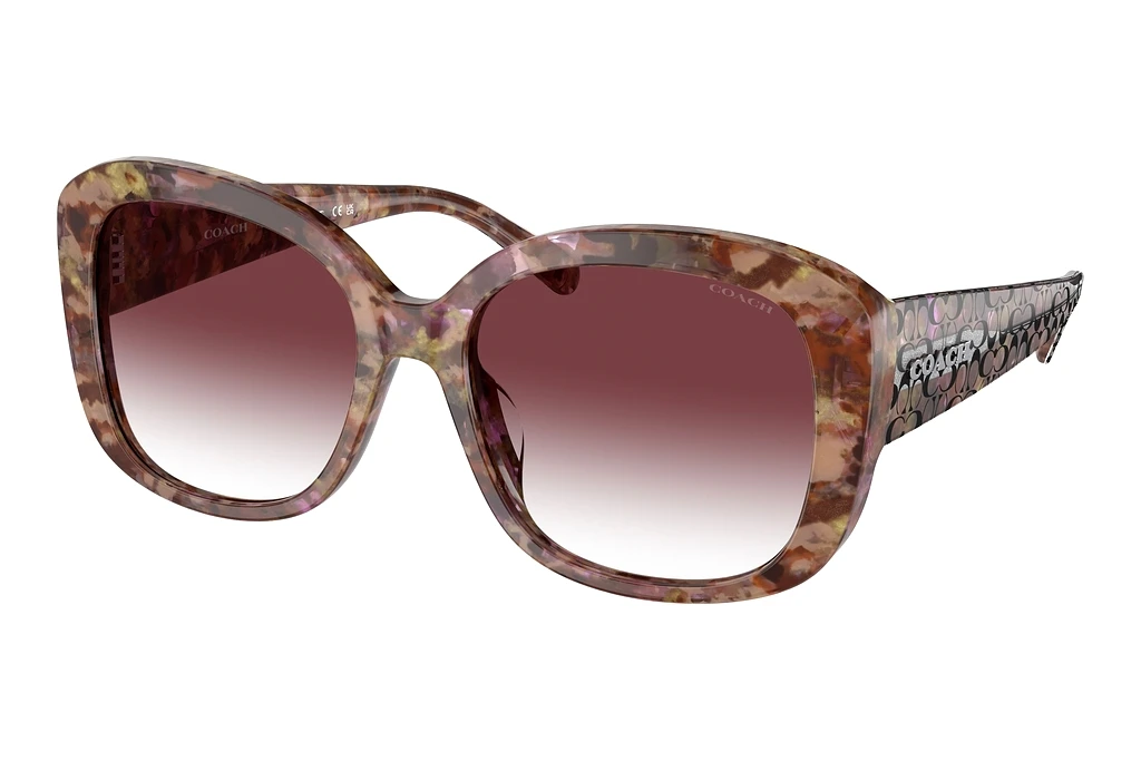 Coach   HC8363U 57398H Purple Clear GradientPetal Tortoise