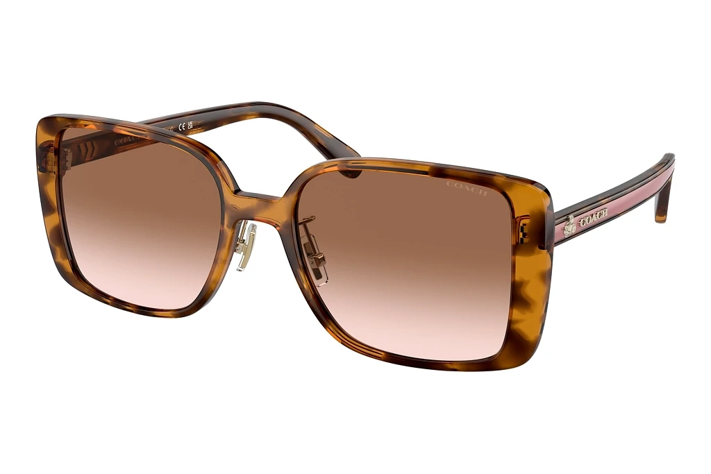 Coach   HC8375 512013 Brown Pink GradientDark Tortoise
