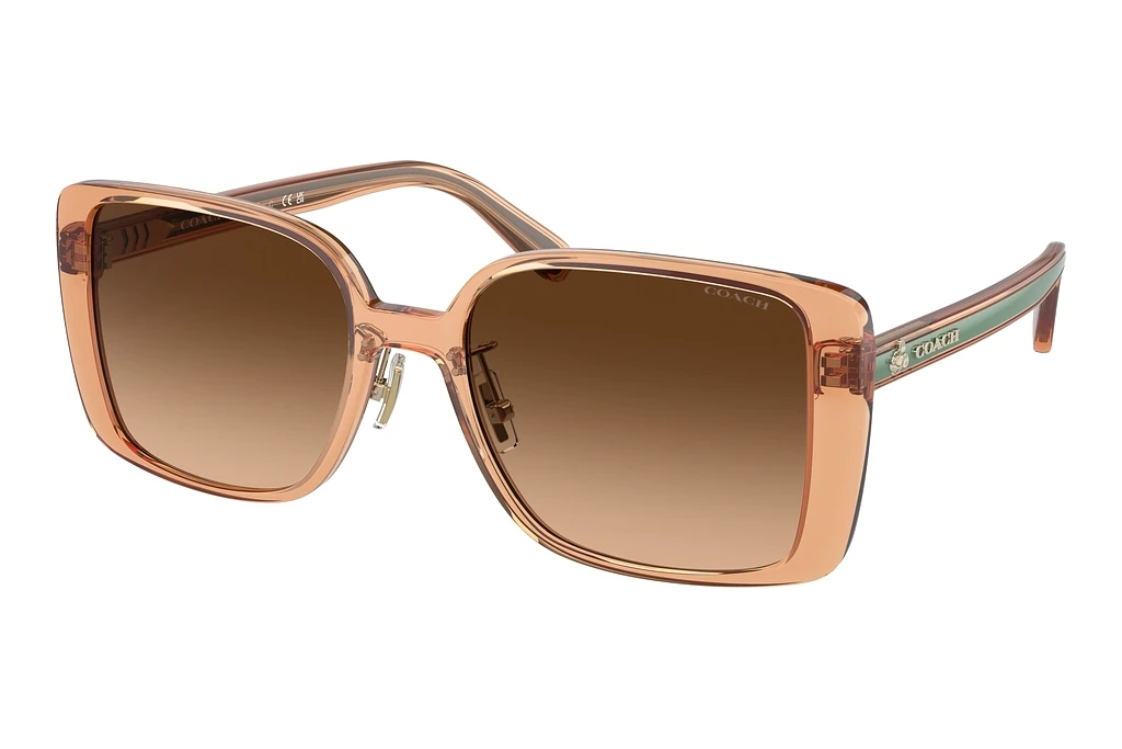 Coach   HC8375 574974 Brown GradientTransparent Saddle