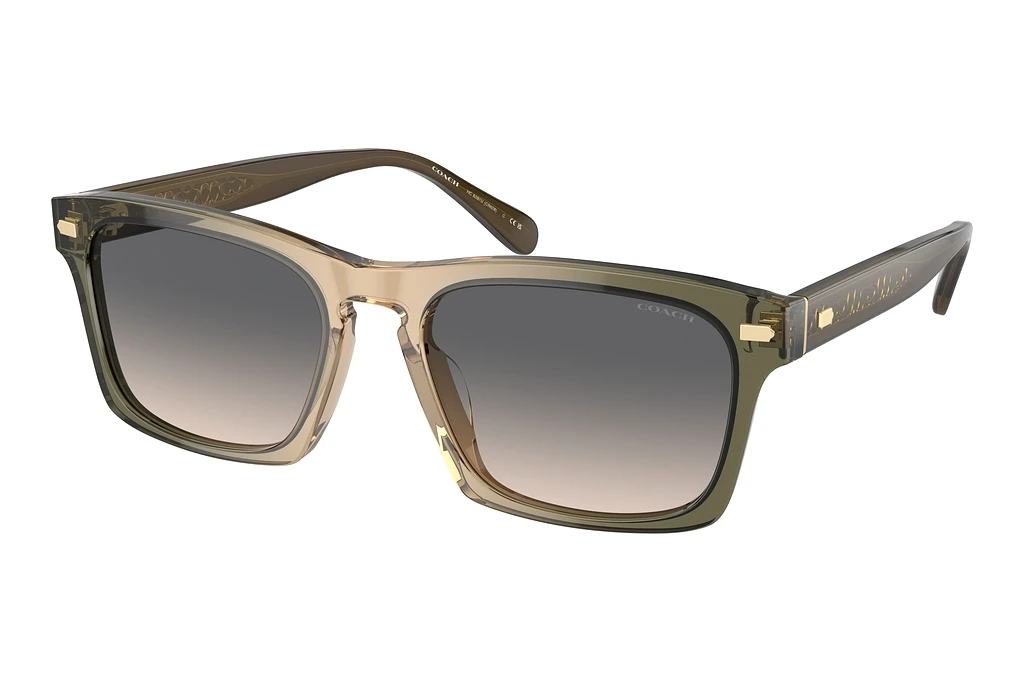 Coach   HC8397U 5797G9 Green SandOlive Tan Gradient