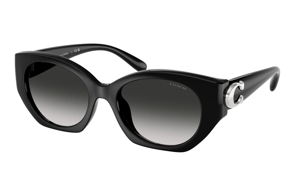 Coach   HC8407U 50023C Grey GradientBlack