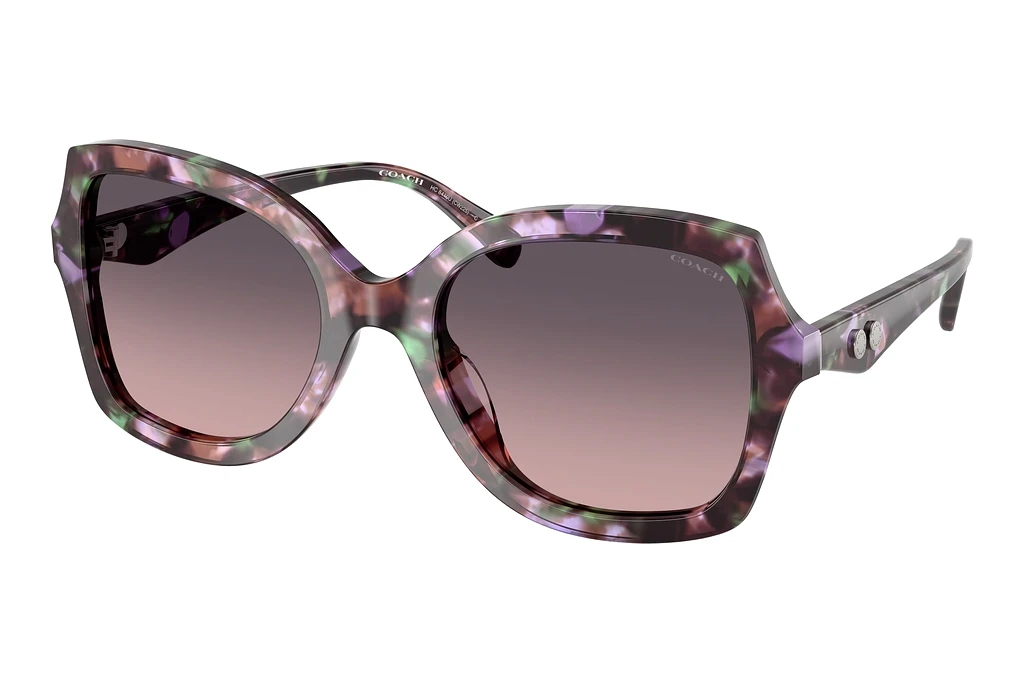 Coach   HC8410U 584346 Smoke Purple GradientAmethyst Pearl Tortoise