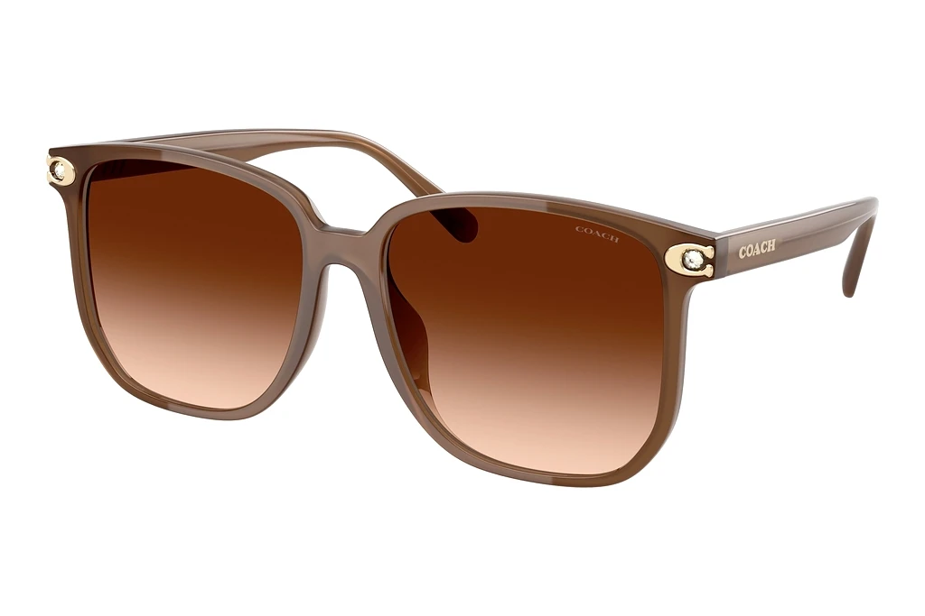 Coach   HC8413BD 580874 Brown GradientMilky Brown