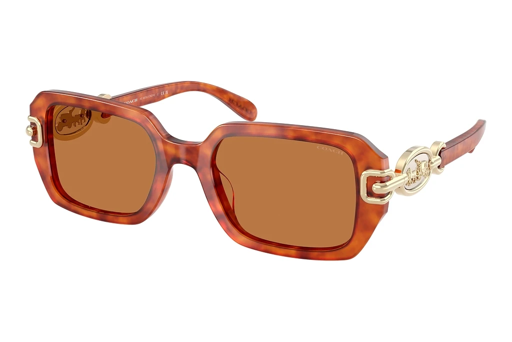 Coach   HC8425U 577473 Amber SolidCaramel Tortoise