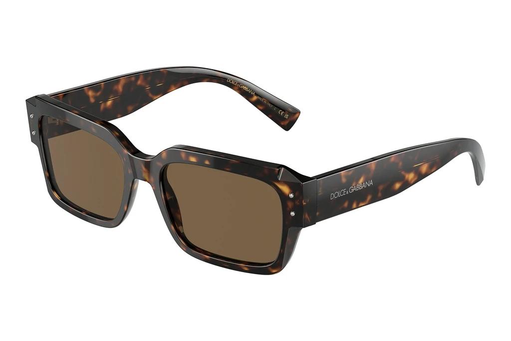 Dolce & Gabbana   DG4460 502/73 Dark BrownHavana